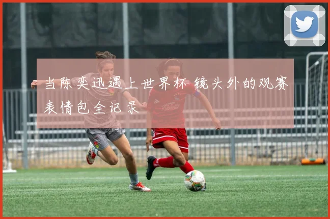 当陈奕迅遇上世界杯 镜头外的观赛表情包全记录