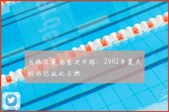 当韩日赛场首次开球：2002年夏天的记忆就此点燃