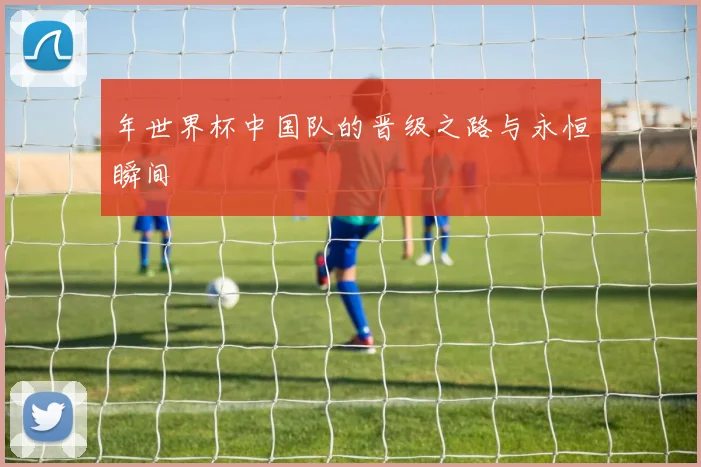 年世界杯中国队的晋级之路与永恒瞬间