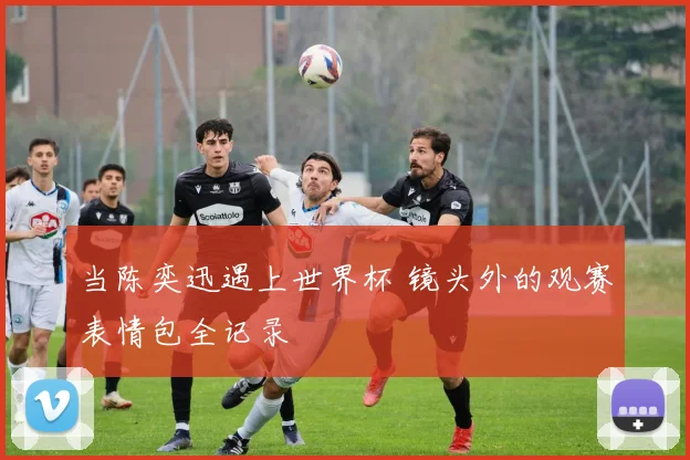 当陈奕迅遇上世界杯 镜头外的观赛表情包全记录